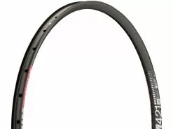 Dt-swiss XM 421 Disc 29" Felge