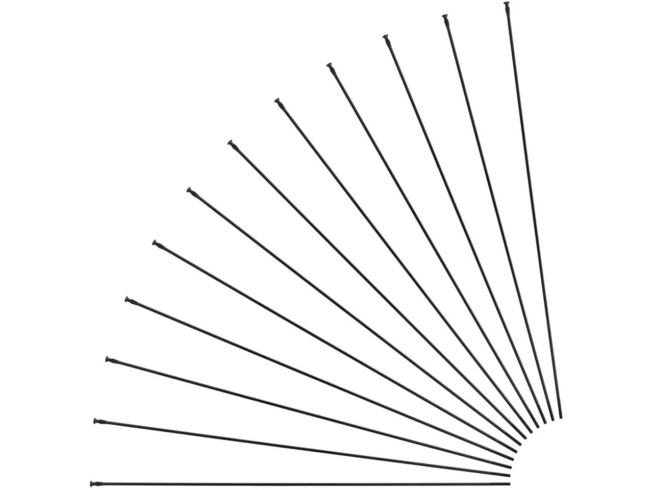 Mavic Aksium Allroad Disc 700 Ersatzspeichen Modell 2018 3 Mavic Aksium Allroad Disc 700 Ersatzspeichen Modell 2018