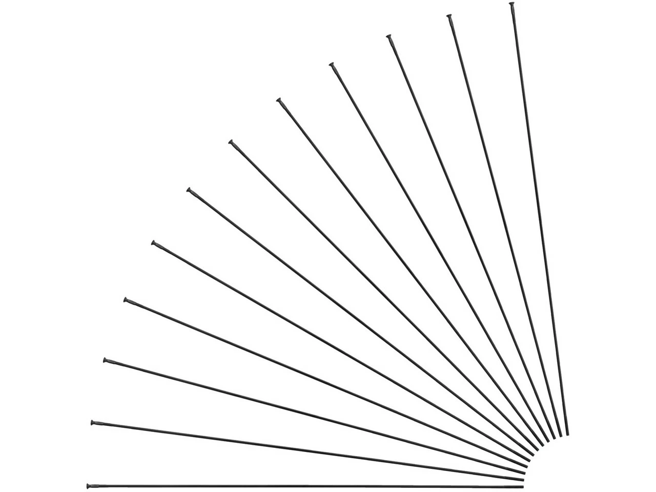 Mavic Crossmax / XA Light 29" Ersatzspeichen Ab Modell 2018 3 Mavic Crossmax / XA Light 29" Ersatzspeichen Ab Modell 2018