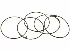 Fulcrum Sperrklinkenfedern 5-R1-015 Für RR Freilaufkörper